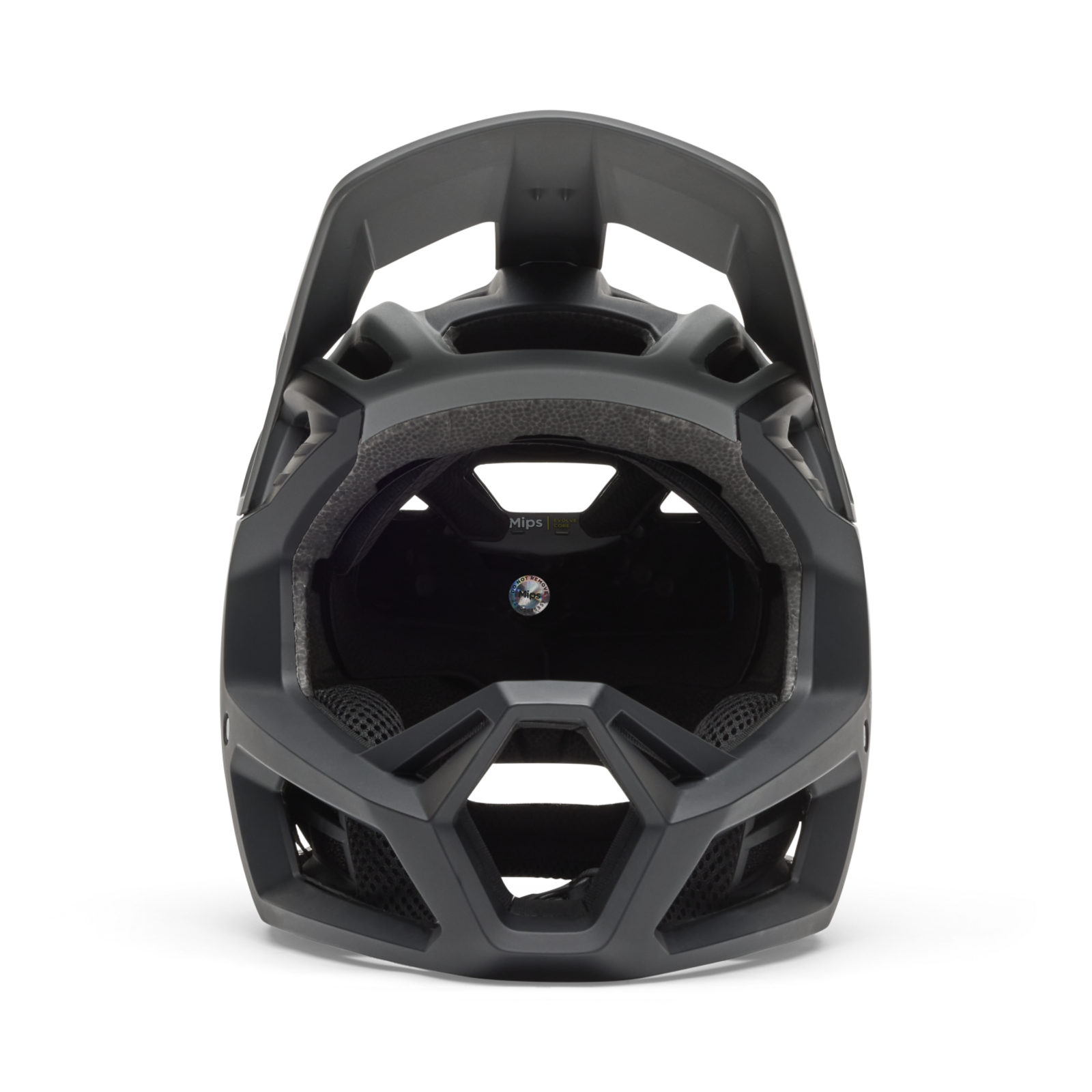 Fox Racing Proframe Vollvisier Helm in GRAU