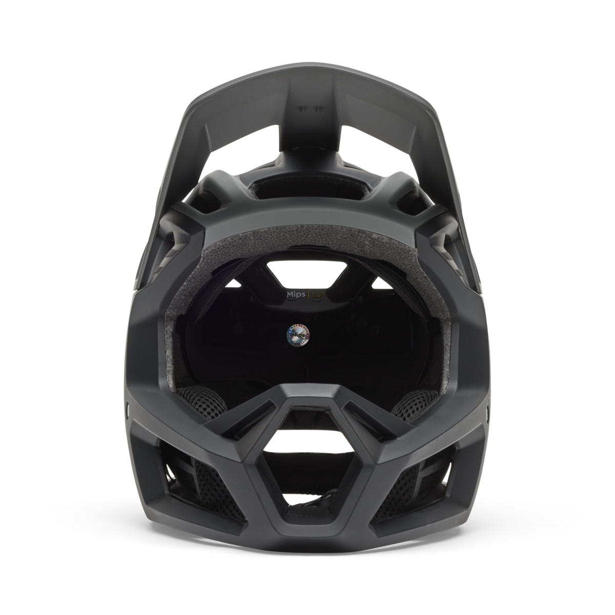 Fox Racing Proframe Vollvisier Helm in GRAU