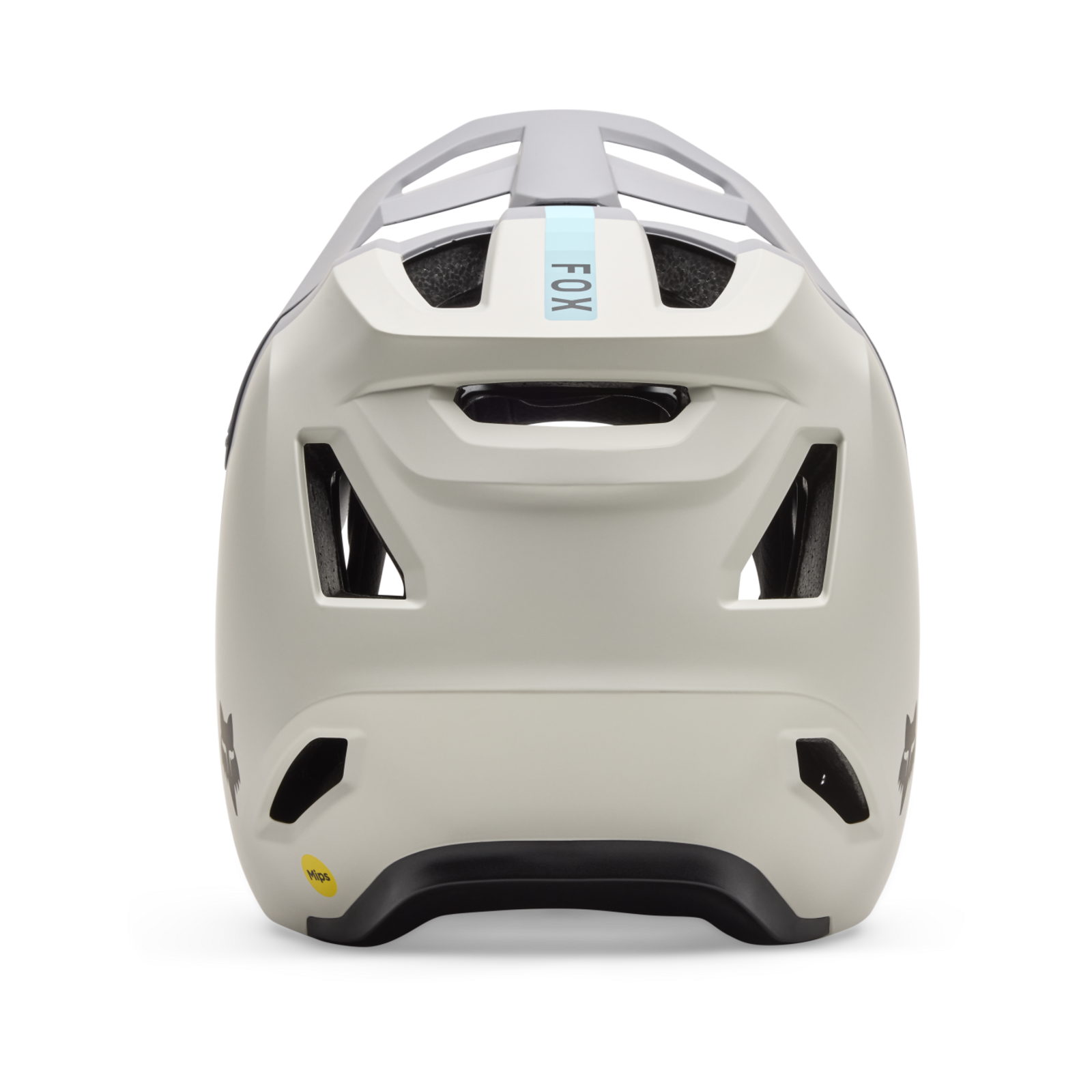 Fox Racing Rampage Vollvisier Helm in MEHRFARBIG