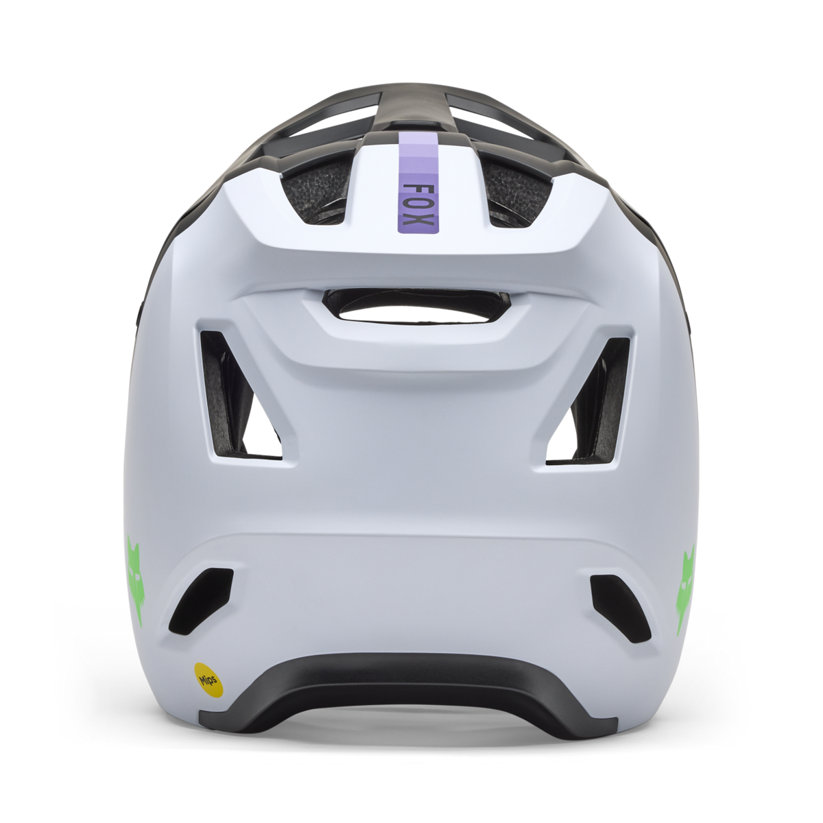 Fox Racing Rampage Vollvisier Helm in MEHRFARBIG