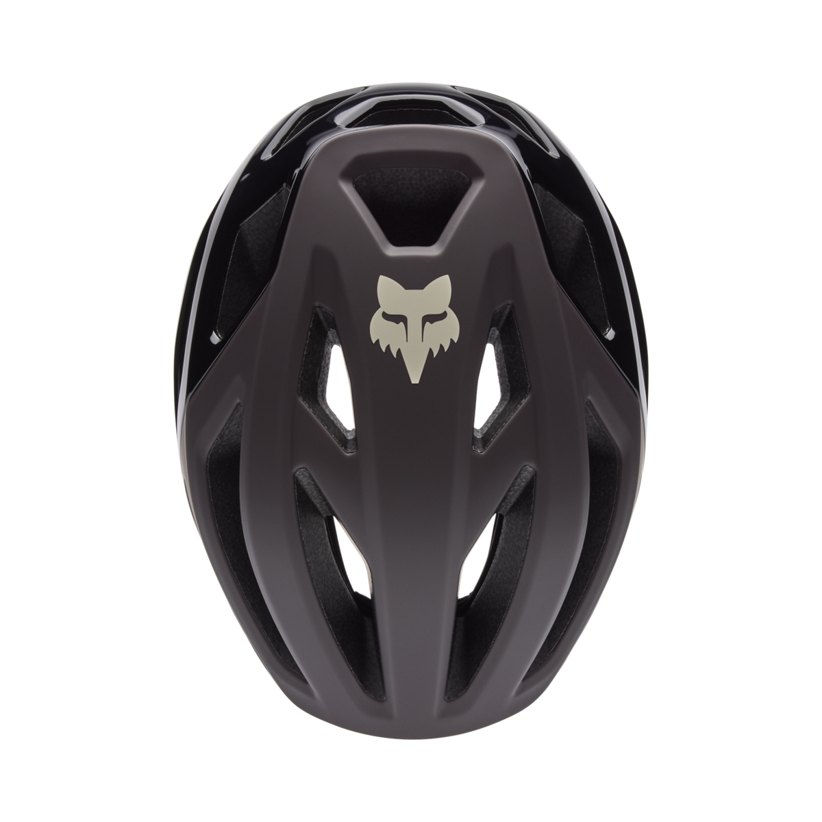 Fox Racing Crossframe Pro Mountainbike Helm in SCHWARZ