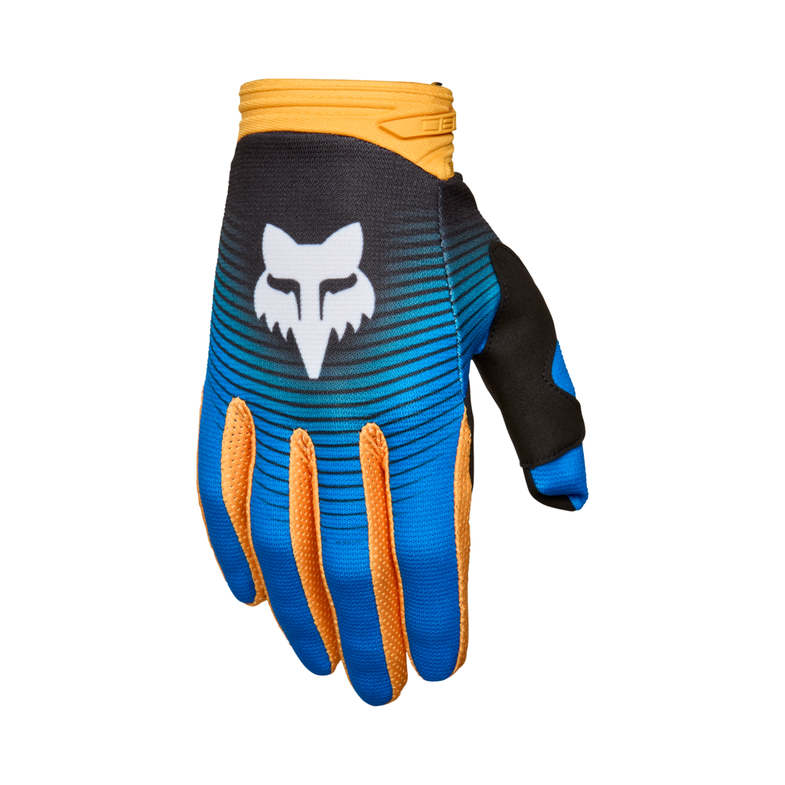 Fox Racing 180 Collect Motocrosshandschuh in BLAU