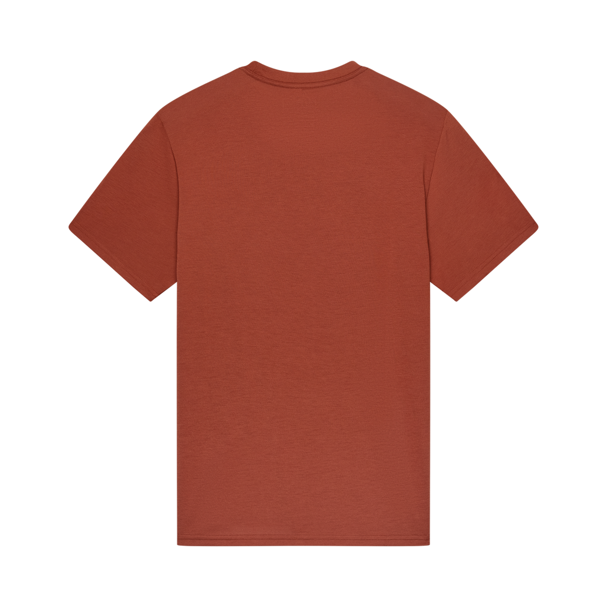 Fox Racing Absolute Original Dri-Release Ss Tee in BRAUN