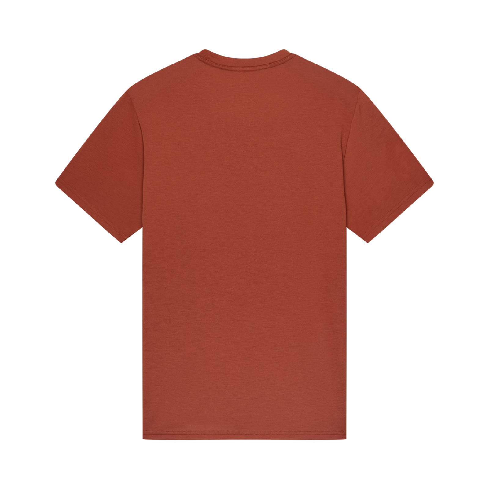 Fox Racing Absolute Original Dri-Release Ss Tee in BRAUN